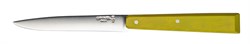 Нож столовый Opinel №125, нержавеющая сталь, светло-зеленый, 001591 - фото 100969