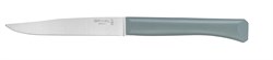 Нож столовый Opinel N°125, полимерная ручка, нерж, сталь, шалфей. 002195 - фото 101008