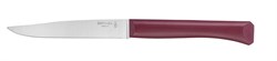 Нож столовый Opinel N°125, полимерная ручка, нерж, сталь, темно-красный. 002196 - фото 101009