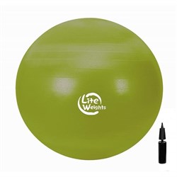 Мяч гимнастический Lite Weights 1866LW 65 см - фото 76165