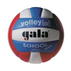 Мяч волейбольный Gala School Foam Colour арт. BV5511S р. 5 - фото 77169