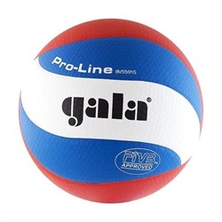 Мяч волейбольный Gala Pro-Line 10 Fivb арт. BV5591S р. 5 - фото 77591