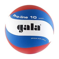 Мяч волейбольный Gala Pro-Line 10 арт. BV5581S р. 5 - фото 77592