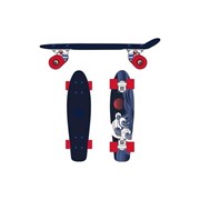 Круизер пластиковый Ridex Sunset 22"x6" ABEC-9