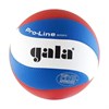 Мяч волейбольный Gala Pro-Line 10 Fivb арт. BV5591S р. 5 - фото 77591