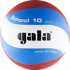 Мяч волейбольный Gala School 10 арт. BV5711S р.5 - фото 79150