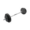 Штанга разборная Starfit BB-401 30 кг стальной гриф, пластиковые диски - фото 83753